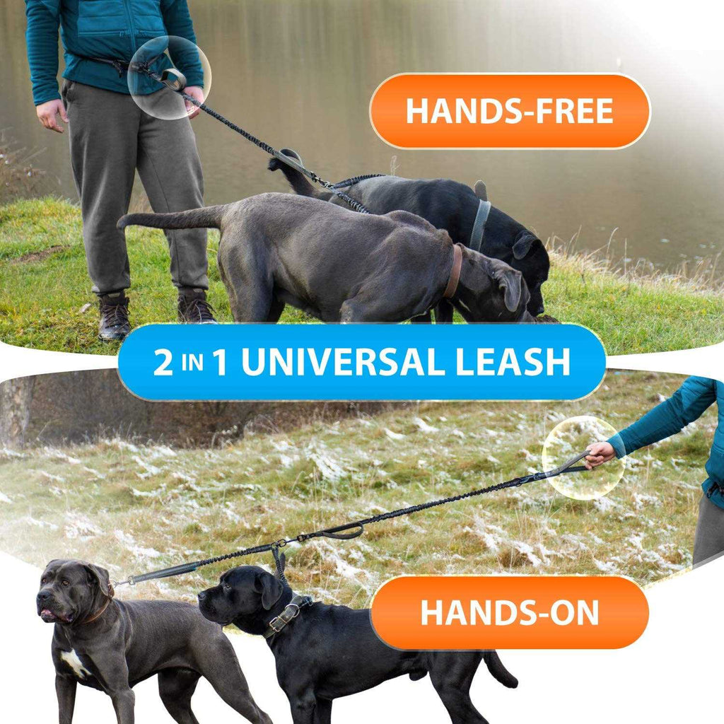 Hands Free Double Dog Leash P2129