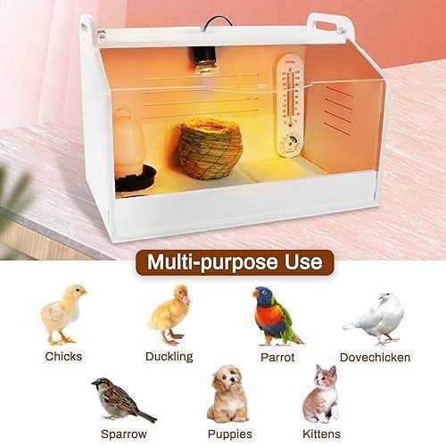 Chick Brooder Box with Heating Lamp O1735