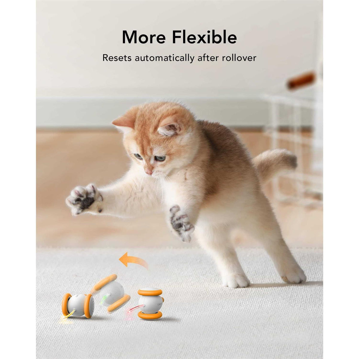 Interactive Cat Toys with LED Lights N714004