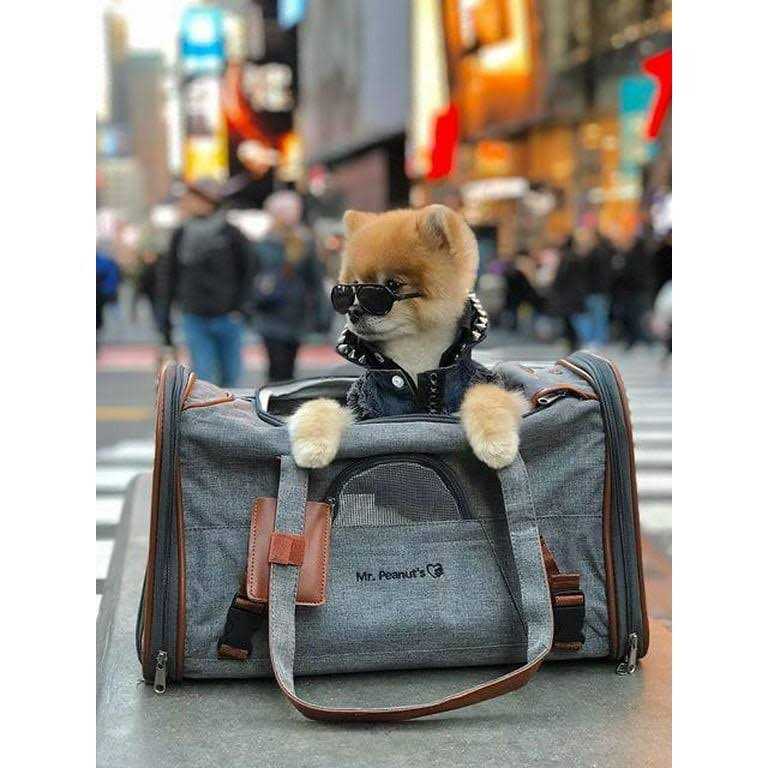 Expandable Airline Approved Pet Carrier X341262