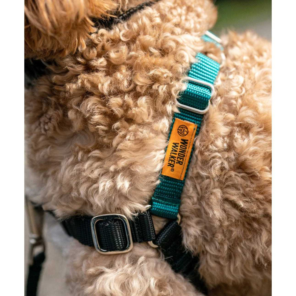 Dog Harness Q668