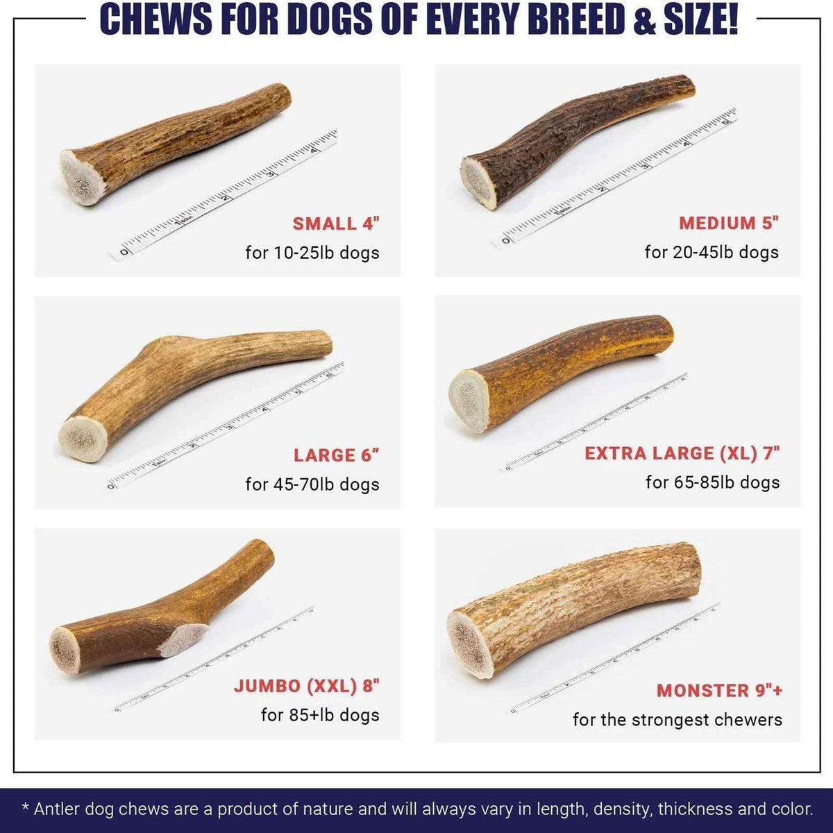 Elk Antler Dog Chew T789222
