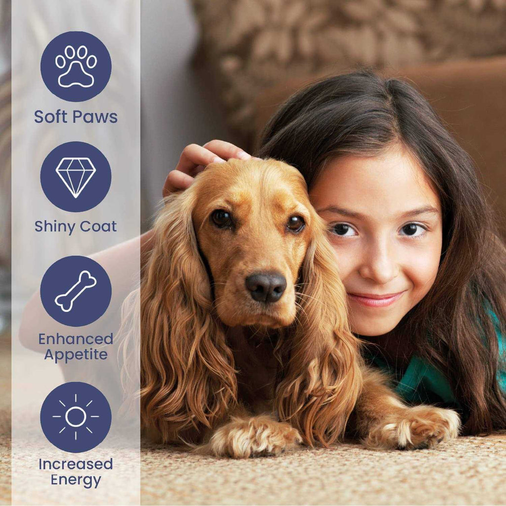 Salmon Oil Liquid Supplement with Omega 3 DHA EPA I893