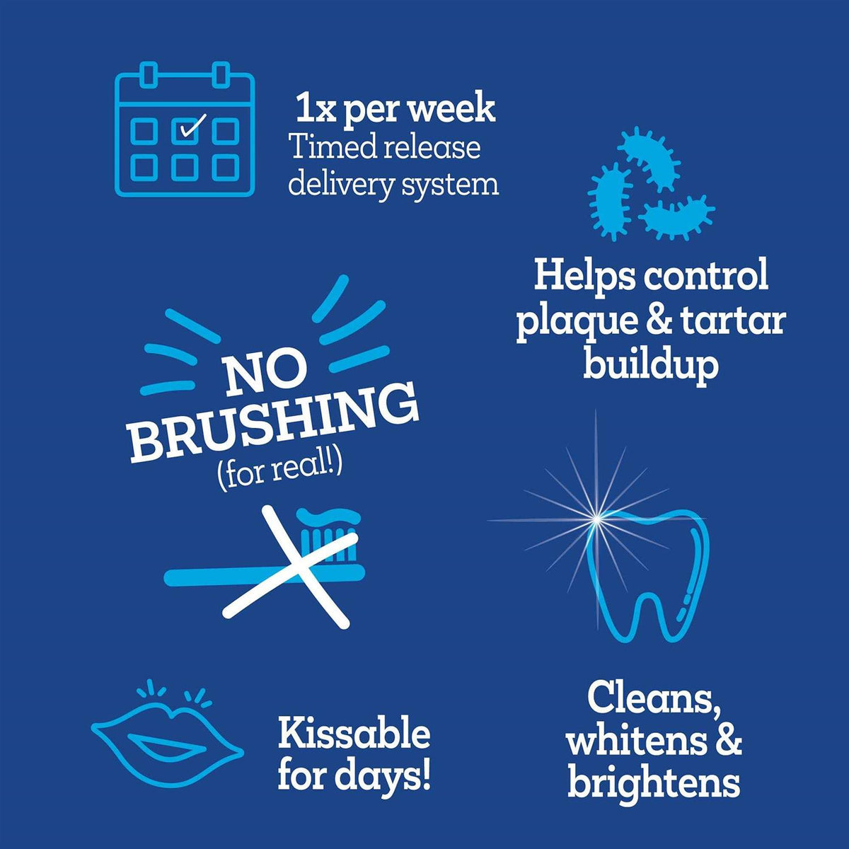 Brush Free Oral Gel for Dogs H11013