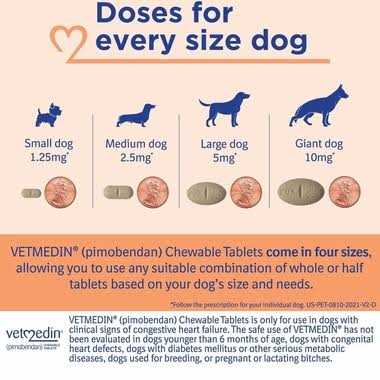5mg Chewable Tablet L11850