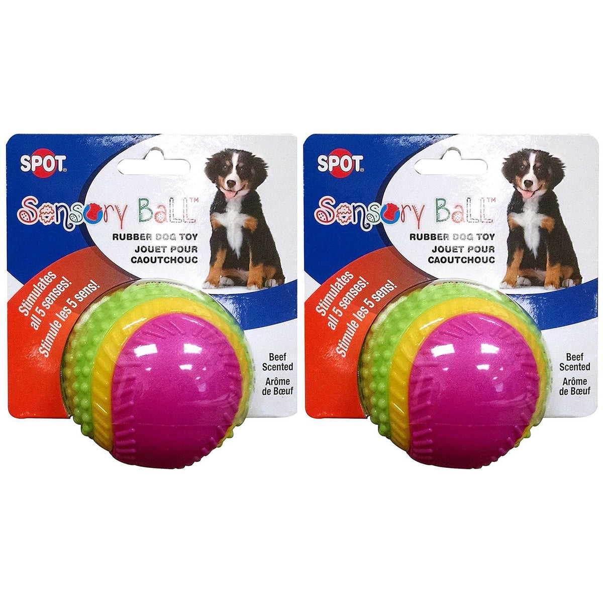 Sensory Ball Dog Toy O756086