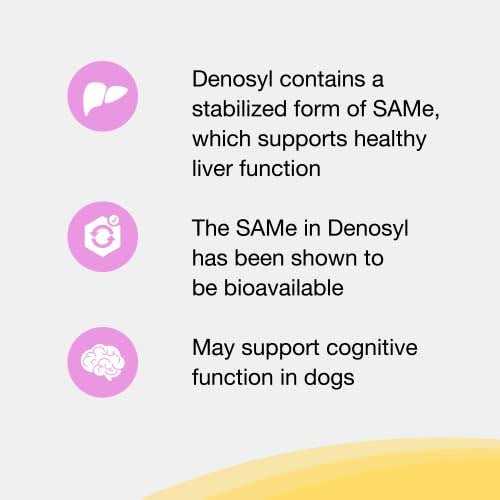 Liver and Brain Health Supplement for Small Dogs & Cats P264656