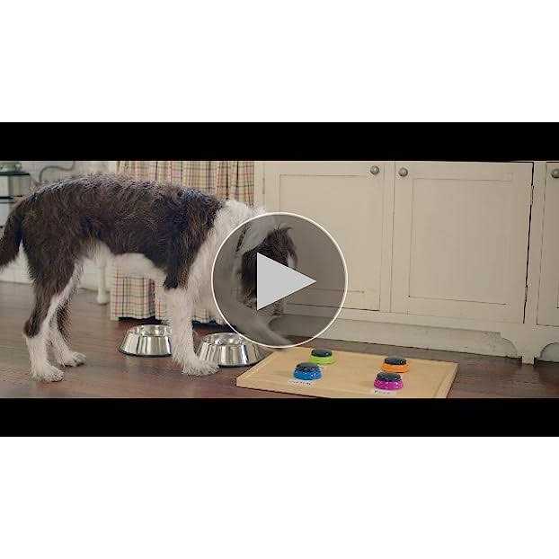 Real Beef Pea & Brown Rice Dry Dog Food P310