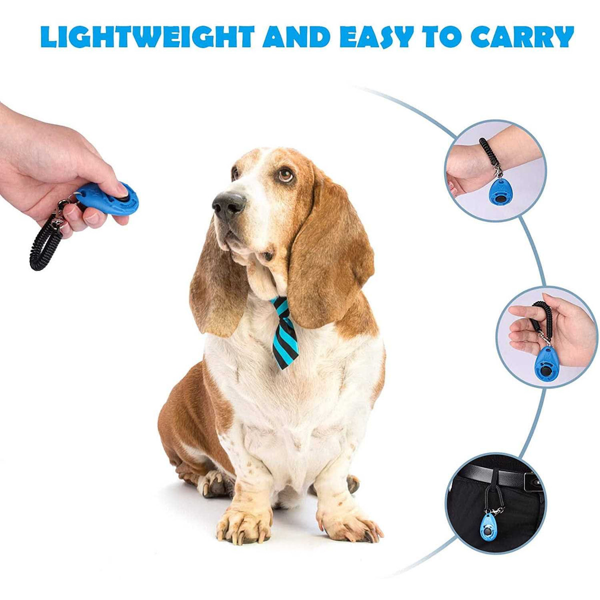 Dog Training Clicker with Wrist Strap Z26499