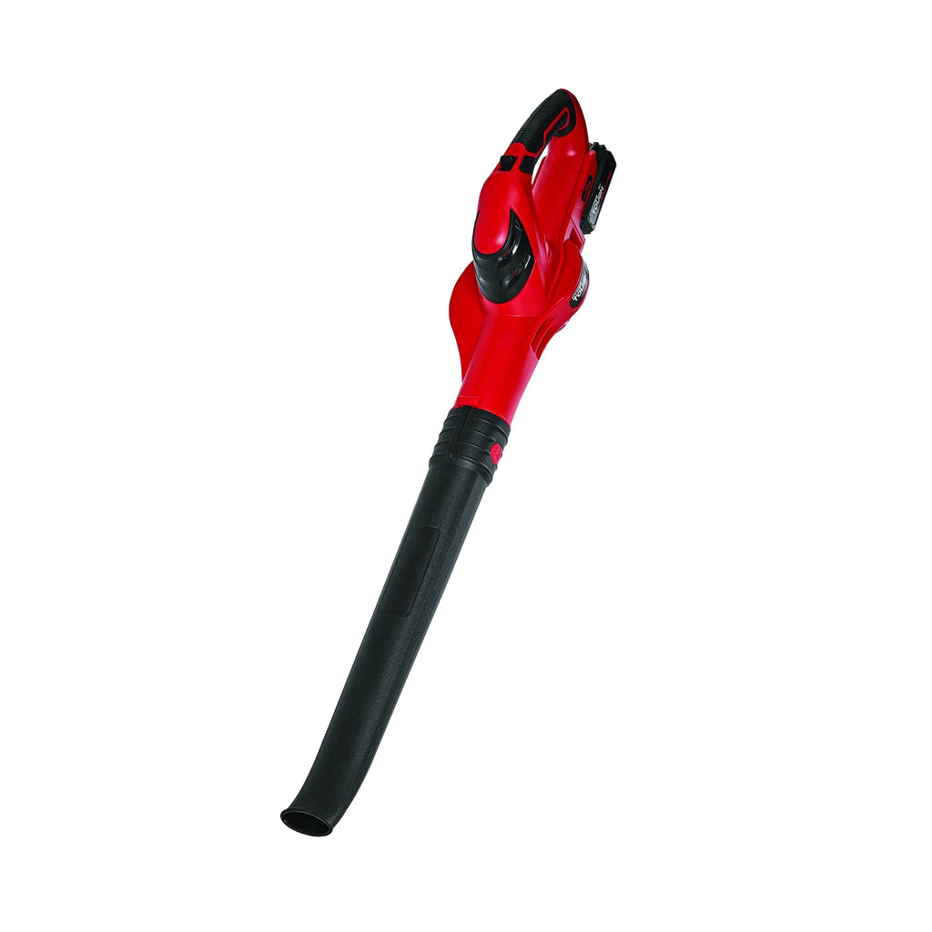 20V MAX Cordless Trimmer Sweeper Combo S58945