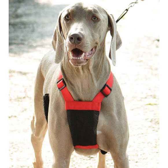 Mesh Non Pull Dog Harness J487