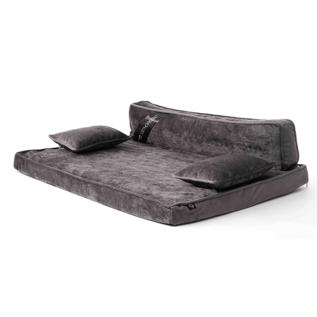 Modern Pet Sofa Bed M4813