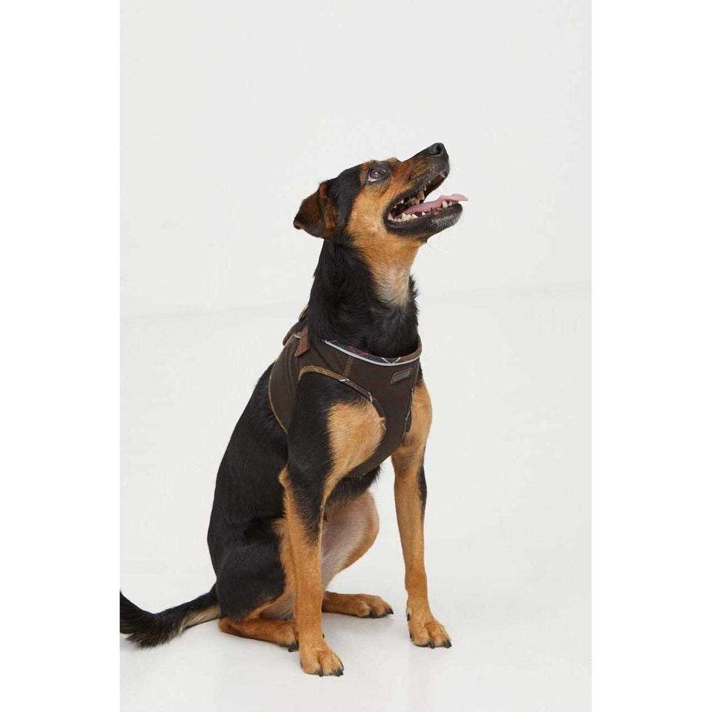 Wax Dog Harness I757
