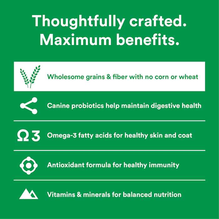 Lamb & Brown Rice Recipe Dry Dog Food R940020