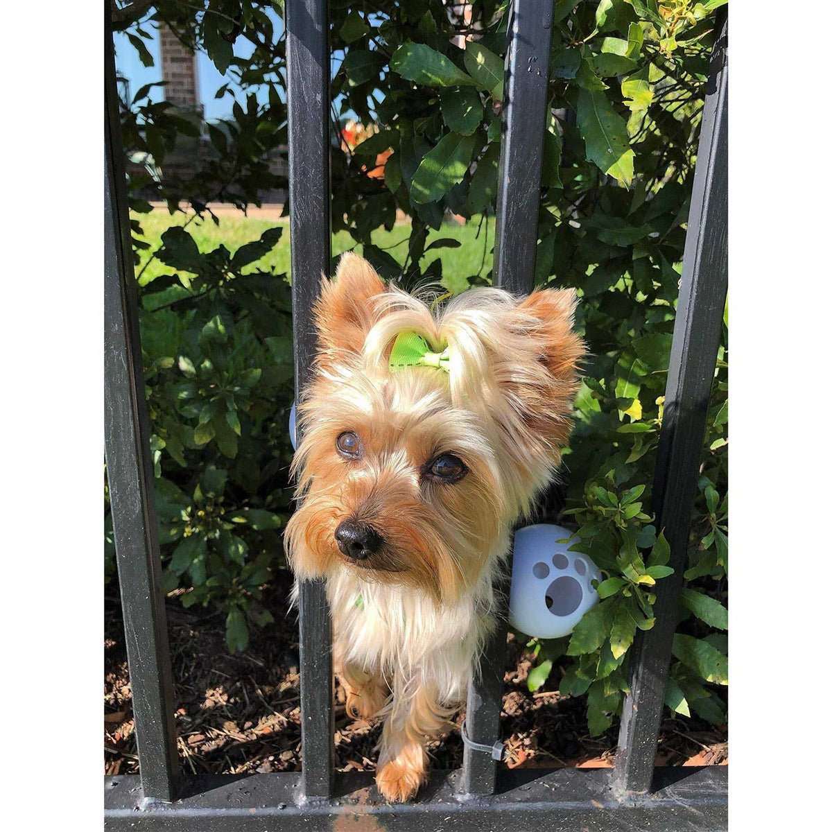 Dog Harness Y4725