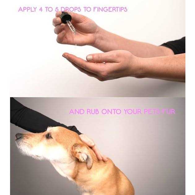 Joint Relief for Dogs V3975