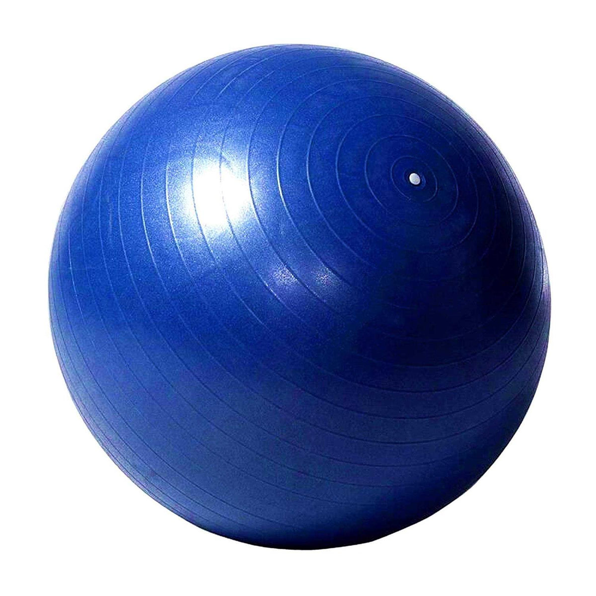 Horse Herding Ball 40 Anti-Burst Giant Soccer Ball Toy I339033