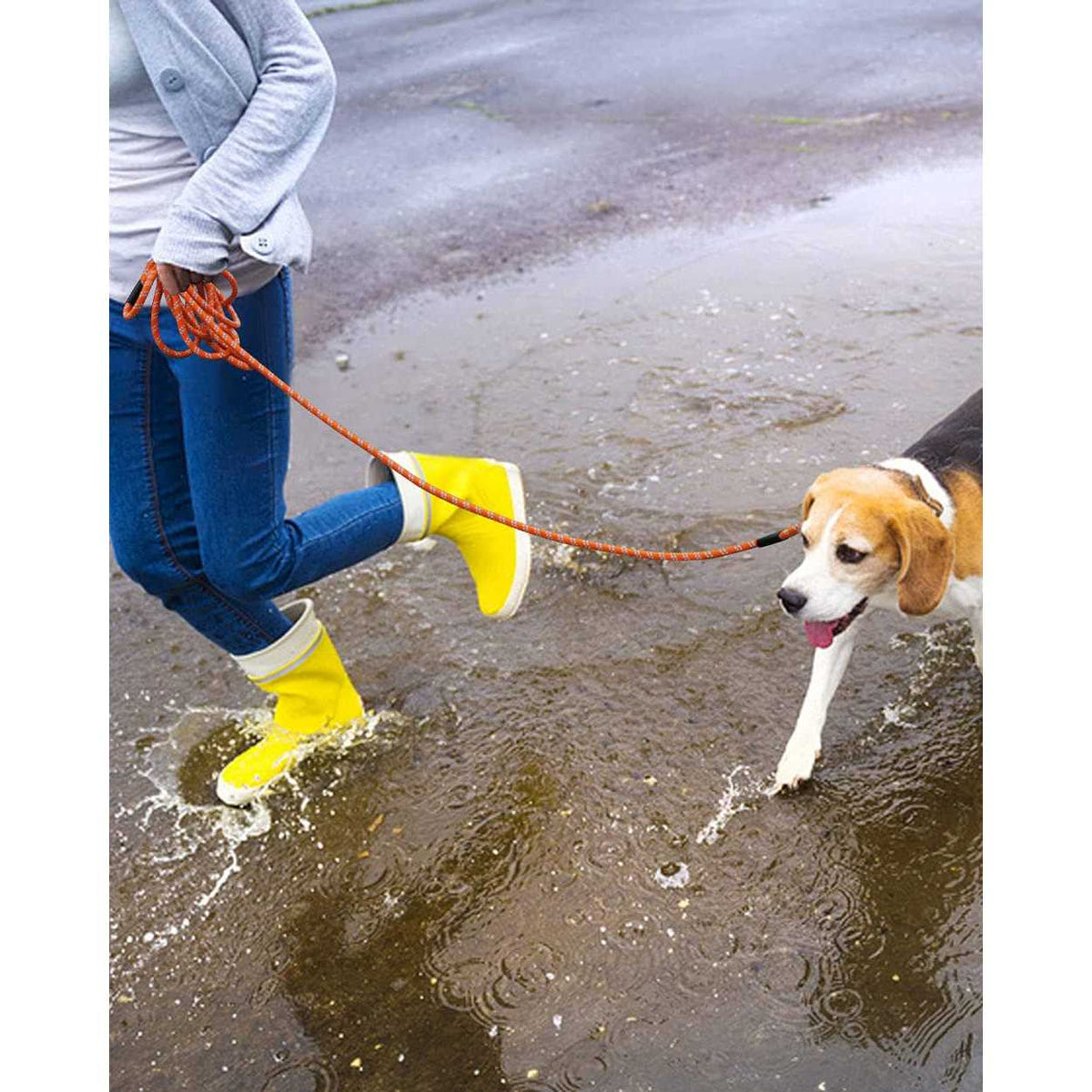 Long Dog Leash Reflective 10FT/16FT/30FT/50FT/100FT J703