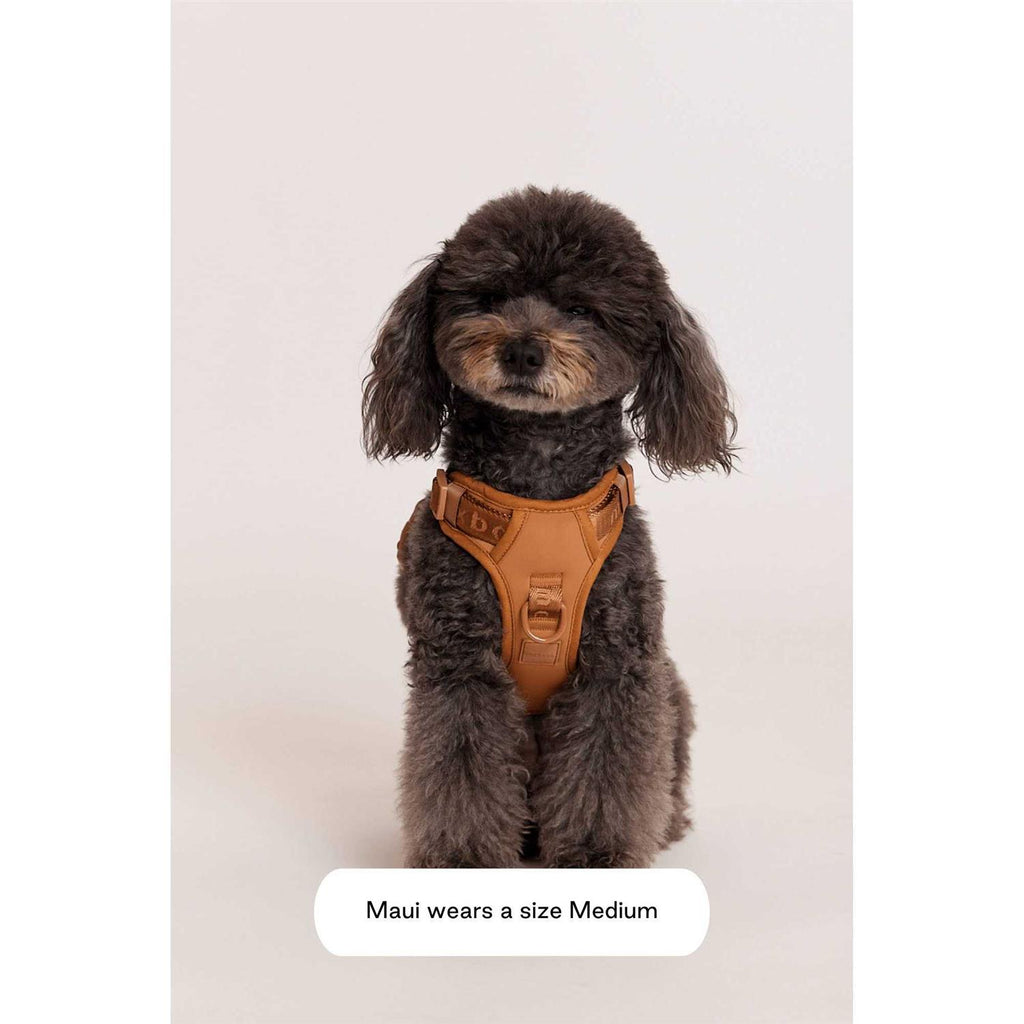 Easy Fit Harness O19544