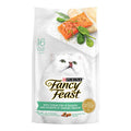 Ocean Fish and Salmon Dry Cat Food X38004