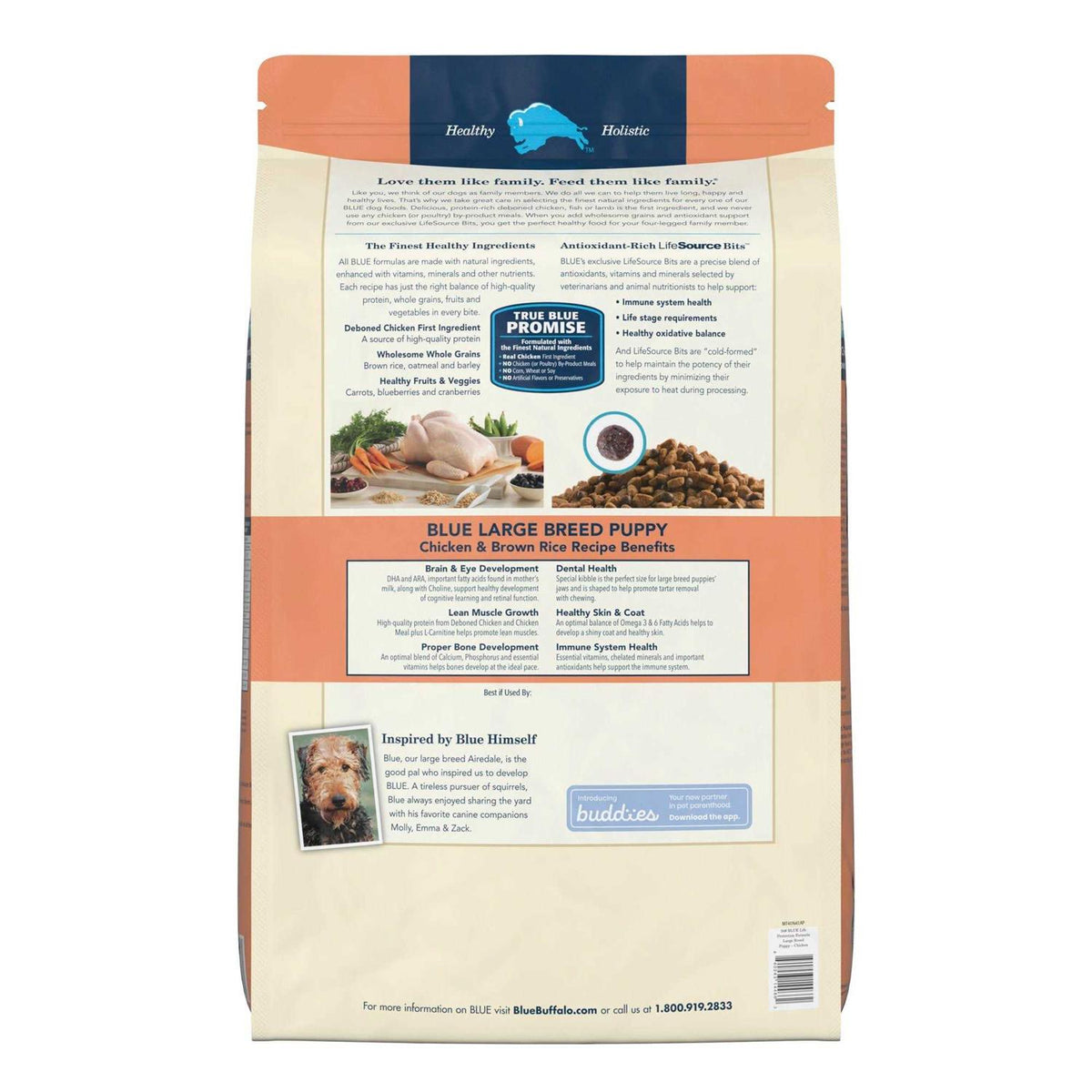 Large Breed Puppy Chicken & Brown Rice Dry Dog Food P36964