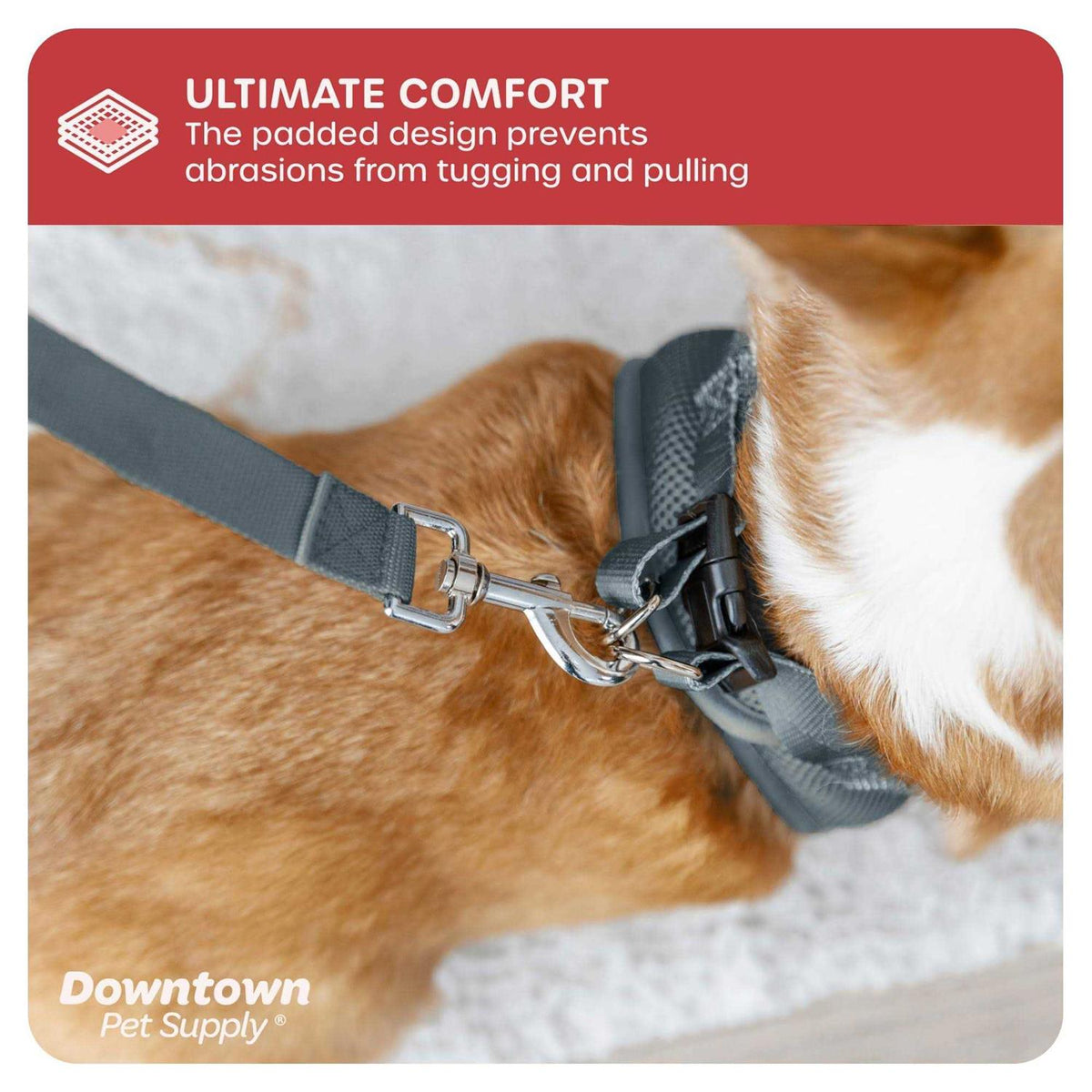Step in Dog Harness for Small Dogs Z5949